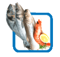 product-icon-4 copy