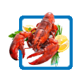 product-icon-7 copy